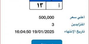 سعرها يصل لـ 500 ألف جنيه.. طرح لوحة سيارة مميزة برقم «ب أ - 13»