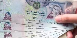 سعر الدرهم الإماراتي مقابل الجنيه المصري اليوم السبت 18 يناير 2025