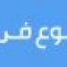 رئيس الإمارات يبحث مع نظيره النيجيرى ورئيسة وزراء إيطاليا علاقات التعاون