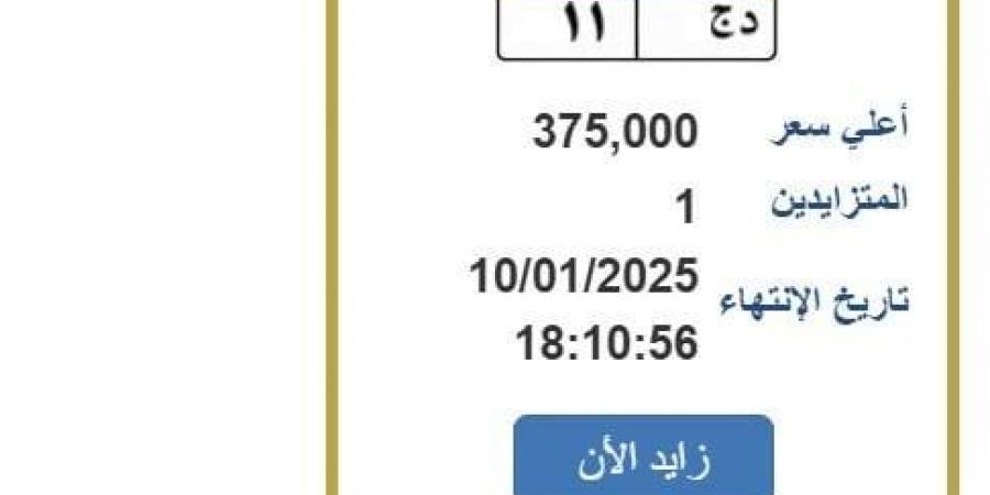 سعرها وصل 375 ألف جنيه.. خطوات التزايد على لوحة سيارة مميزة (رابط)