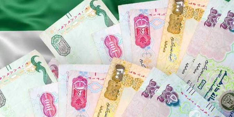 سعر الدرهم الإماراتي اليوم الثلاثاء 14-1-2025