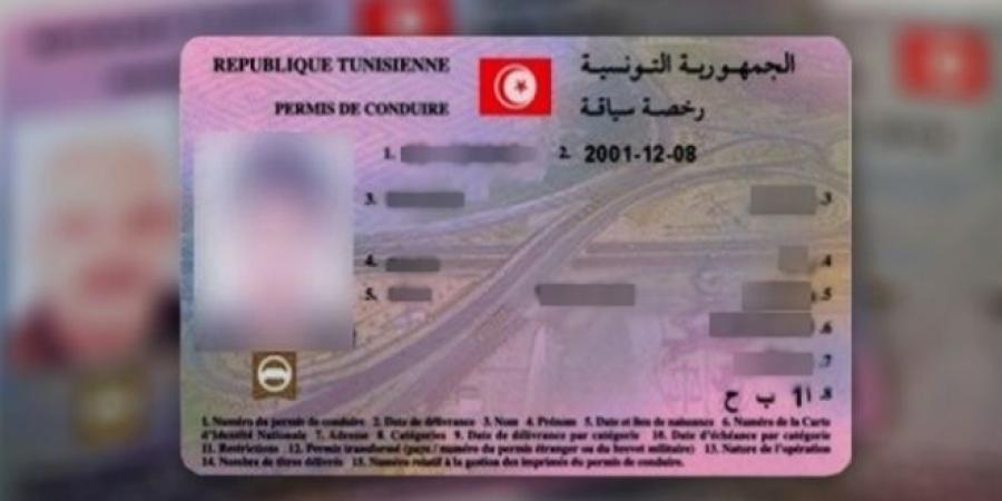 عاجل/ بشرى سارّة للتونسيين المقيمين بإيطاليا بخصوص رُخص السياقة