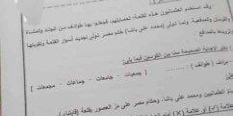 جروبات الغش تنشر أسئلة امتحانات اللغة العربية والإنجليزية للصف الثالث الإعدادي 2025