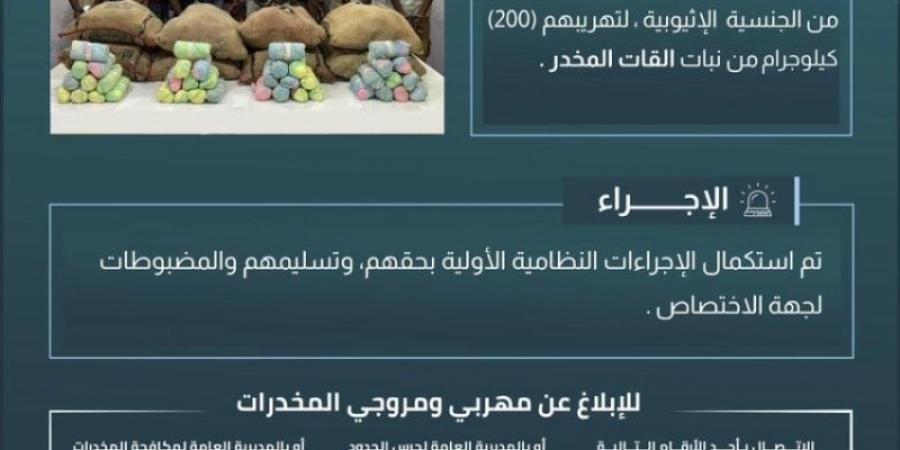 حرس الحدود بعسير يقبض على (8) مخالفين لتهريبهم (200) كيلوجرام من القات المخدر