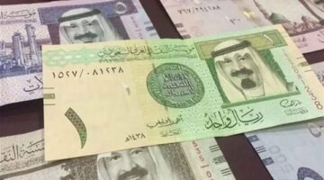 سعر الريال السعودي مقابل الجنيه المصري اليوم الجمعة 24 يناير