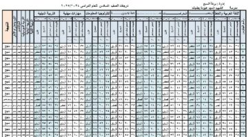 نتيجة الصف السادس الابتدائي الترم الأول 2025 بالدرجات.. ظهرت الآن