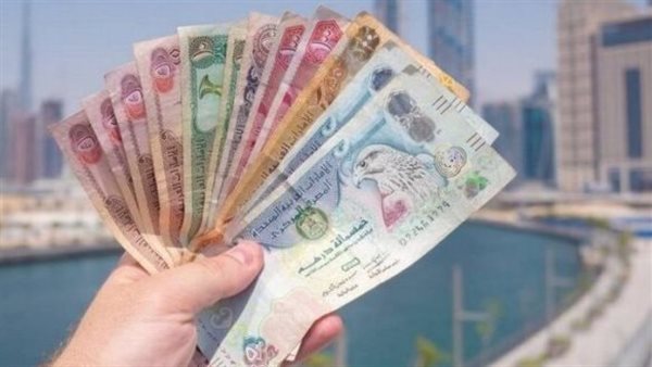 سعر الدرهم الإماراتي أمام الجنيه المصري في تعاملات اليوم الجمعة 24-1-2025