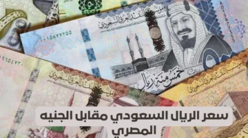 سعر الريال السعودي مقابل الجنيه المصري اليوم الخميس 23 يناير 2025 في البنوك والسوق السوداء