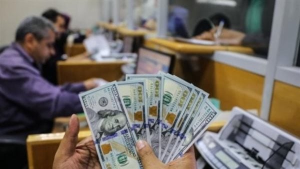 سعر الدولار اليوم الجمعة 24 يناير 2025 في مصر.. أسعار الصرف لحظة بلحظة